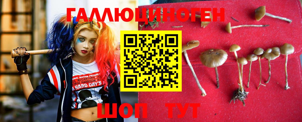 Псилоцибиновые грибы мицелий  купить наркоту  Ангарск  Вход с VPN 